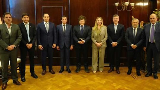 Gobernadores radicales se reunieron con Milei: analizaron la economía y minimizaron el escándalo de Alfonsín