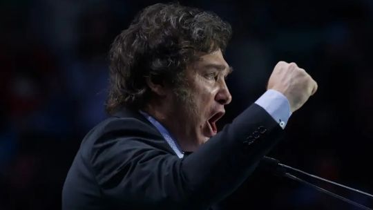 «Mandril», «culo» y «pedo de buzo»: especialistas responden por qué Milei insiste con frases vulgares en sus discursos
