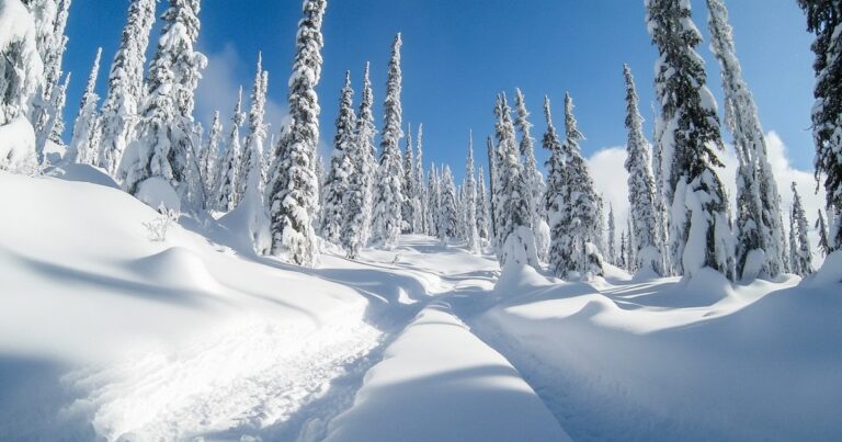 Ecosistemas y cultura en riesgo: la nieve podría ser historia en 2100