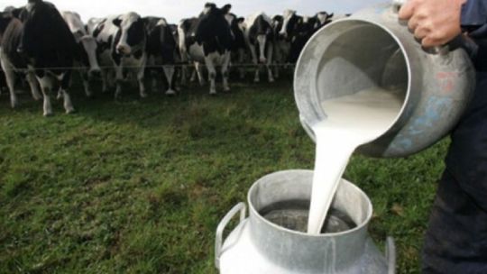 Producción lechera: La caída de producción de este año tuvo que ver con fenómenos climáticos extremos