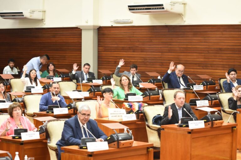 La Legislatura de Jujuy rechazó el ajuste en el PAMI