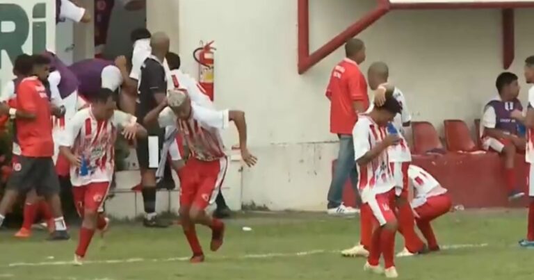 Video: atacaron las abejas y se cortó el partido