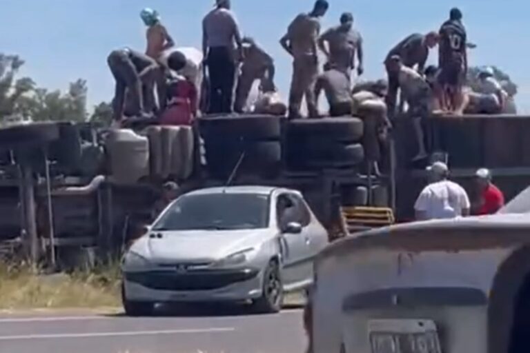 Volcó un camión con 75 animales y los vecinos faenaron toda la hacienda