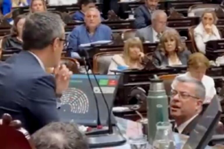 Germán Martínez apuntó contra Martín Menem y el presidente de la Cámara le respondió