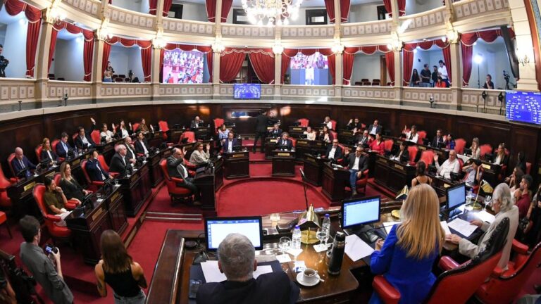 Provincia: el Senado aprobó la suspensión de las PASO