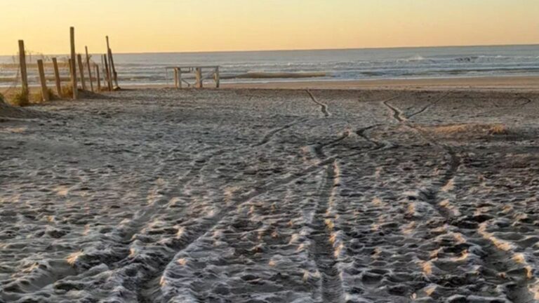Mar del Plata es una heladera: 10 grados bajo cero, piletas congeladas y playas teñidas de blanco