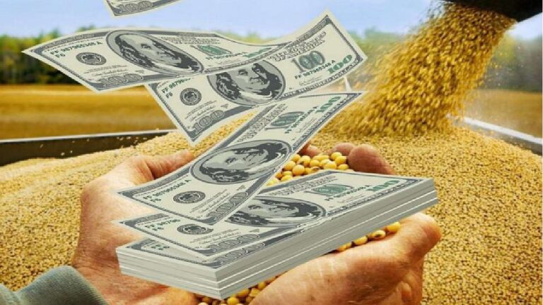 Dólar: los agroexportadores liquidaron u$s3.706 millones en junio antes de la subaderetenciones