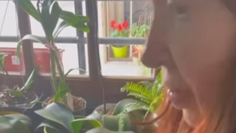 El video de Cristina Kirchner cocinando en su casa de San José 1111