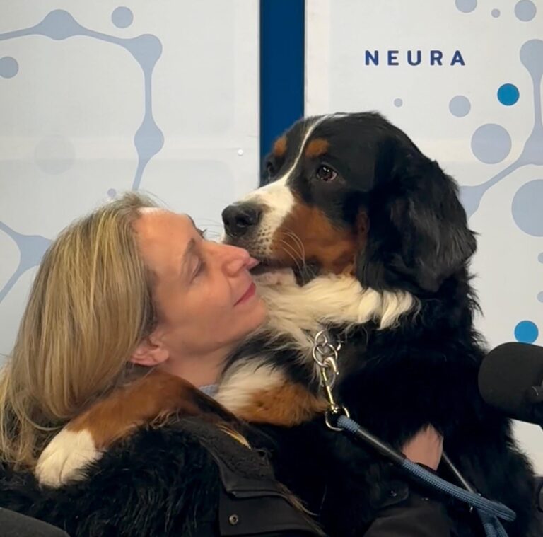 Un liberalismo de obedientes para destruir el sistema