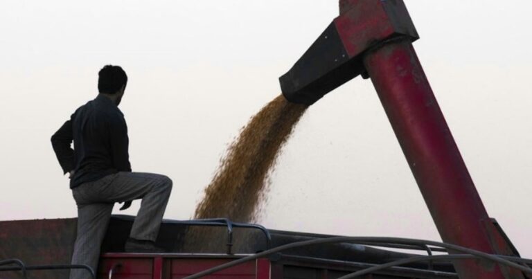 Retenciones: una propuesta más audaz e interesante