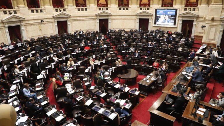 Sesión especial: la oposición busca reabrir la discusión por el Garrahan y la universidad