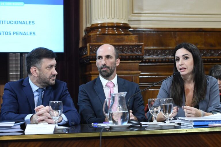 Milei puso como candidata a la funcionaria encargada de controlar y financiar las elecciones