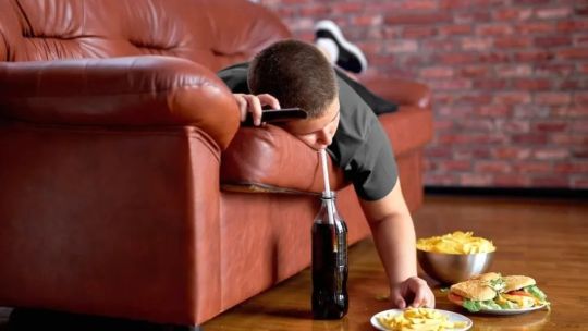 Salud y alimentación: La comida casera es siempre mejor? Expertos rompen mitos sobre los alimentos procesados