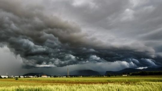 Precipitaciones abundantes en el agro: El daño ya es un desastre total