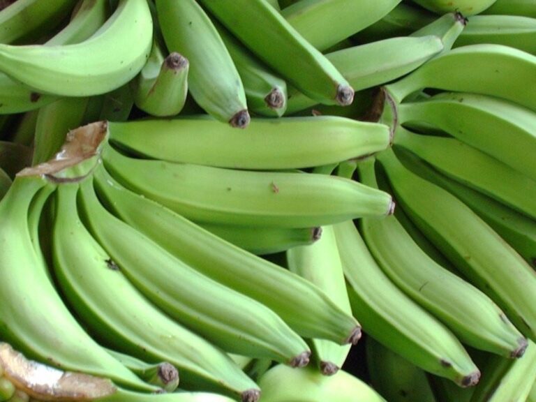 Cuáles son los beneficios del plátano verde