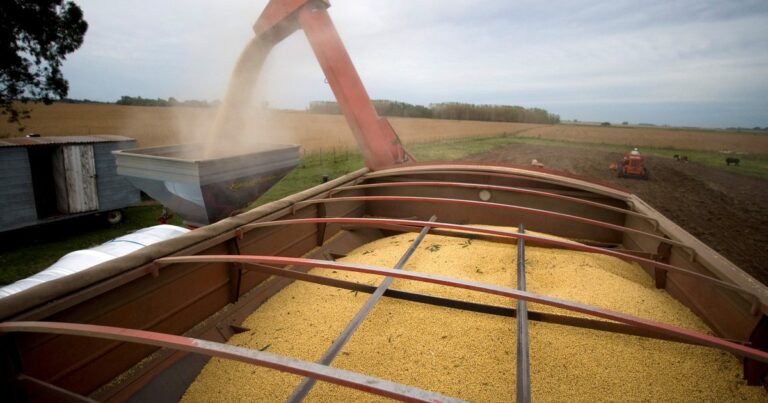 Un impuesto que succionó US$ 200.000 millones en dos décadas