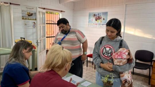 Puerto Iguazú realizará castraciones gratuitas y reforzará el cuidado de mascotas