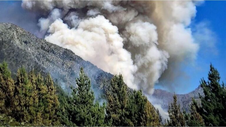 Cancillería agradecíó a Chile el apoyo para combatir los incendios en Chubut