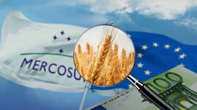 El Senado, a un paso de aprobar el acuerdo Mercosur-UE: oportunidades para productos argentinos