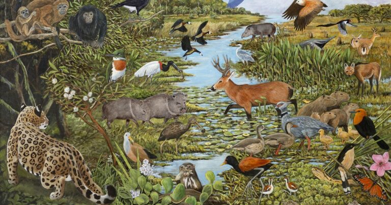 Día Mundial del Rewilding: cómo las provincias se pasan animales para restaurar ecosistemas