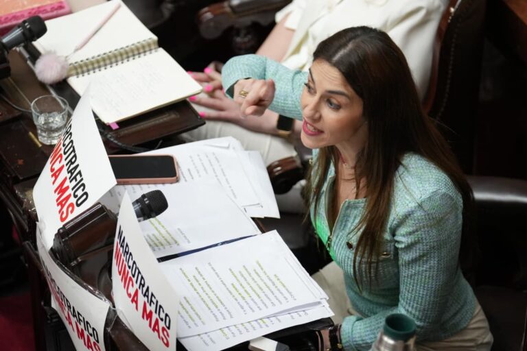 Retrato de la diputada nacional Marcela Pagano.