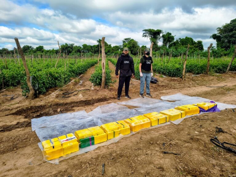 Plantación de tomates donde se halló cocaína enterrada en Salta