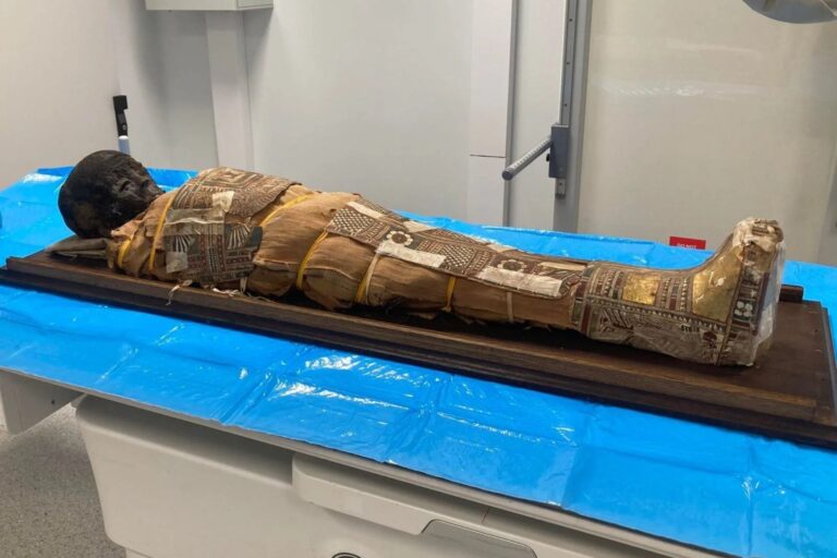 Imagen de una momia egipcia infantil con vendajes, mostrada junto a una representación de una tomografía computarizada que revela un objeto en el tórax.