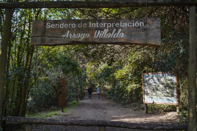 Sendero en la Reserva del Parque Costero Sur, Punta Indio, con árboles autóctonos y camino de conchilla