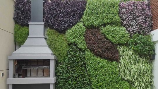 Techo verde con vegetación en altura en zona urbana