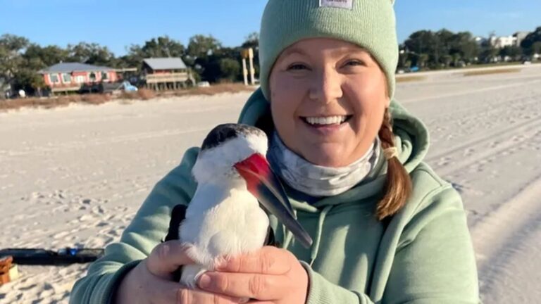 Acuerdo legal entre bióloga y comisión de conservación de Florida