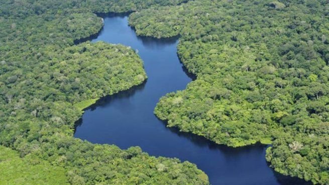 Vista aérea de la selva amazónica con ríos y vegetación densa