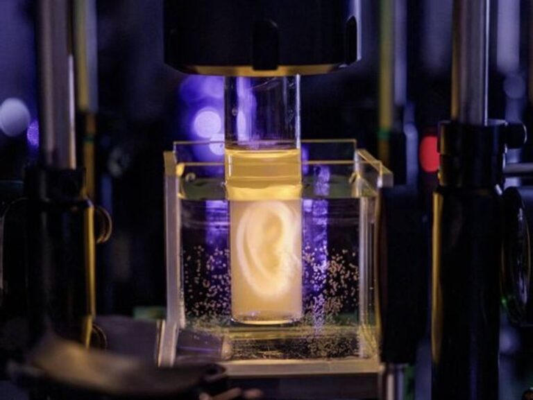 Oreja humana impresa en 3D con células vivas en laboratorio del EPFL