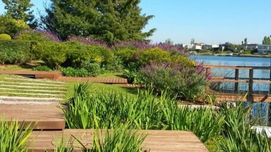 Persona regando plantas en un jardín con manguera