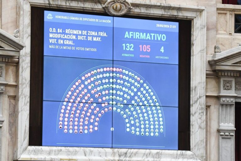 Diputados en sesión votando la ley de subsidio por zona fría