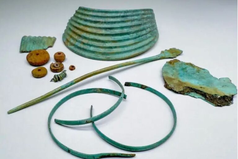 Collar de ámbar de la Edad de Bronce hallado en Baja Sajonia