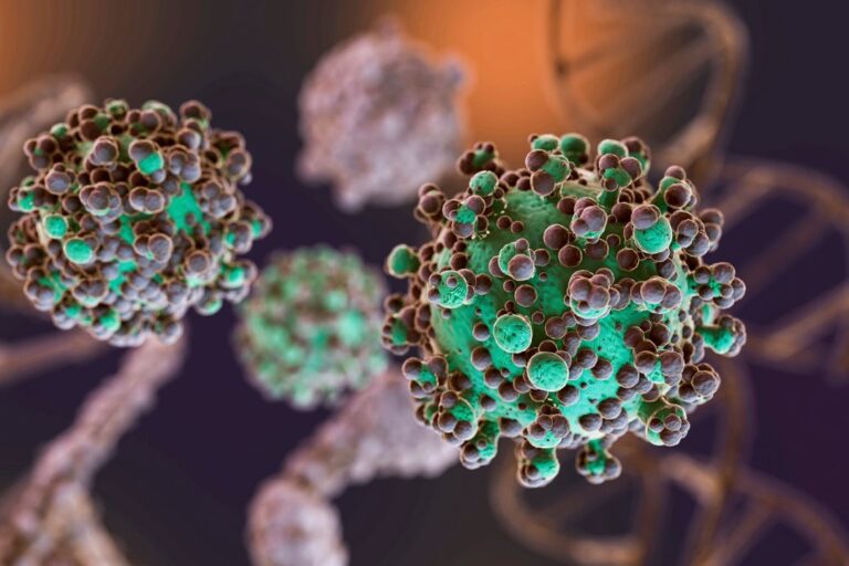 Ilustración del virus hantavirus
