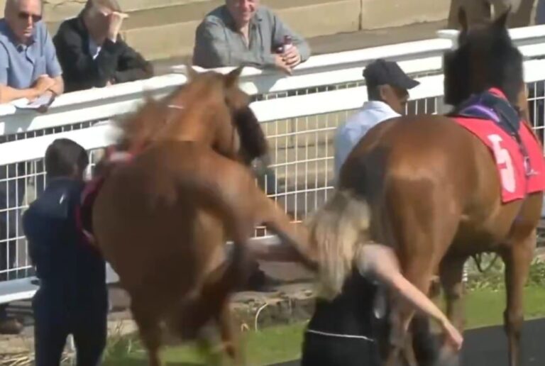 Mujer recibiendo patada de caballo en hipódromo Redcar