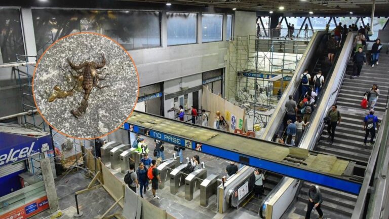 Vagón del Metro CDMX en la Línea 2