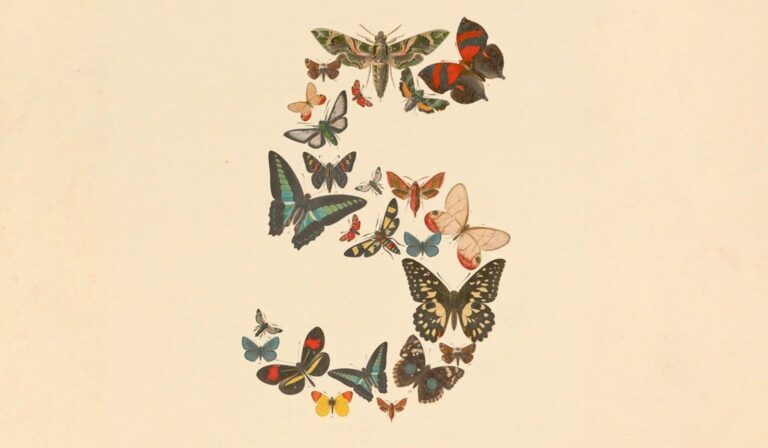 Logo de Anthropic con los nombres de los modelos Claude Fable 5 y Mythos 5