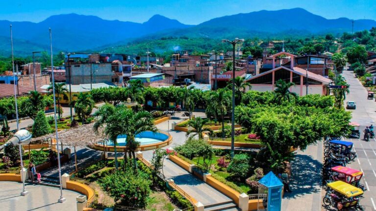 Vista de Tarapoto con cielo nublado y palmeras