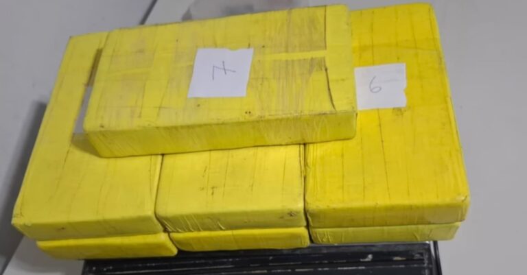 Operativo policial en autopista con droga incautada