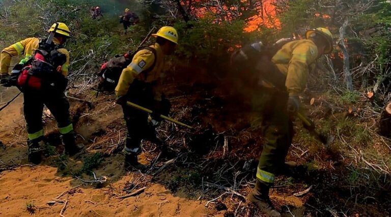 Imagen del incendio forestal en Cafayate, Salta