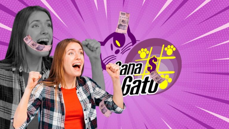Boleto del sorteo Gana Gato