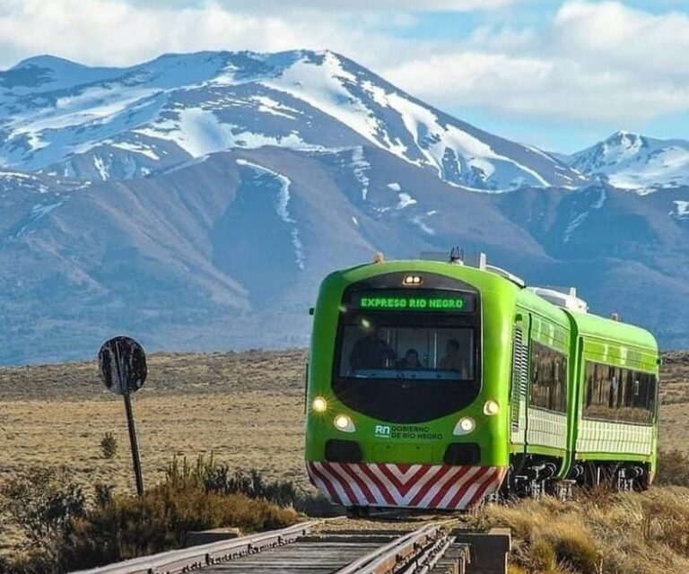 Tren Patagónico recorriendo paisaje de la Patagonia argentina
