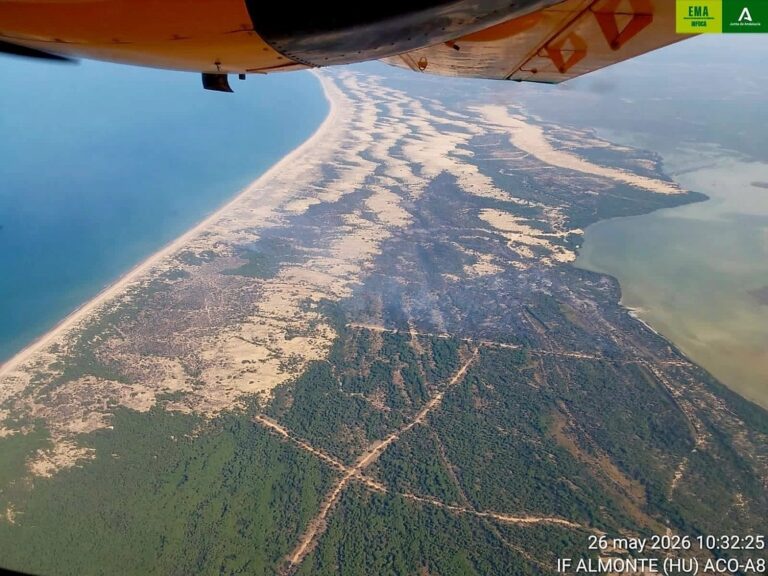 Incendio en el Parque Nacional de Doñana